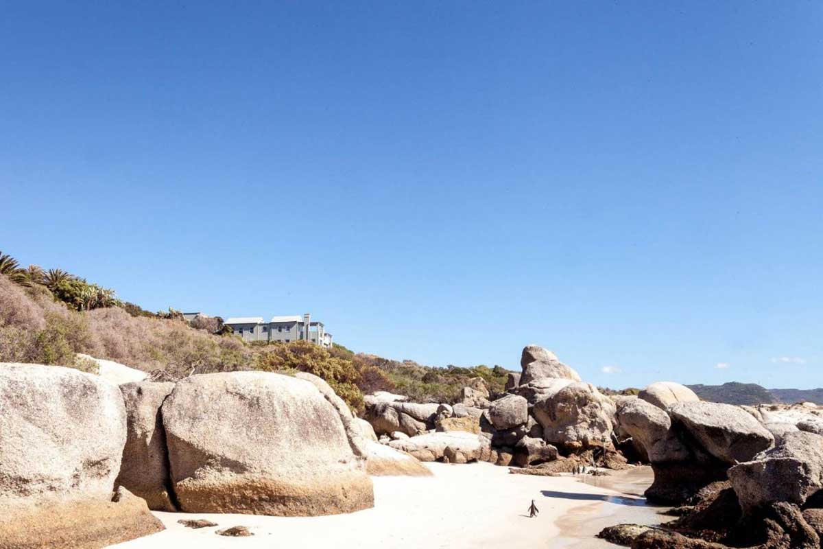 Tintswalo Boulders Beach Penguins