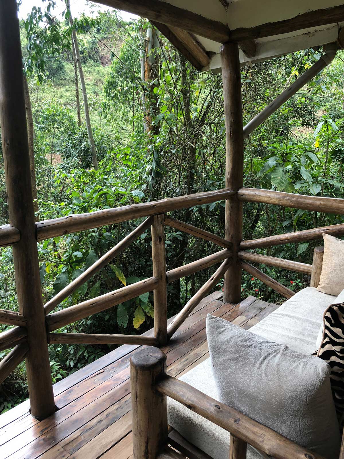 Gorilla Safari Lodge in Uganda