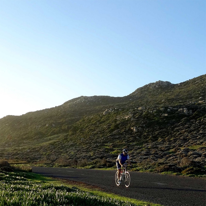 Cape Peninsula Pedal cycle tour with Bikes n Wines