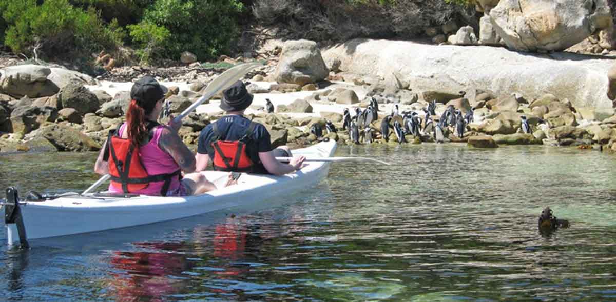 Kayaking at Boulders with Penguins