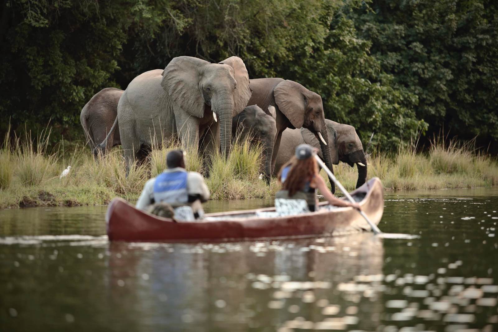 Watching elephants from a canoe on safari at Chongwe River Camp2
