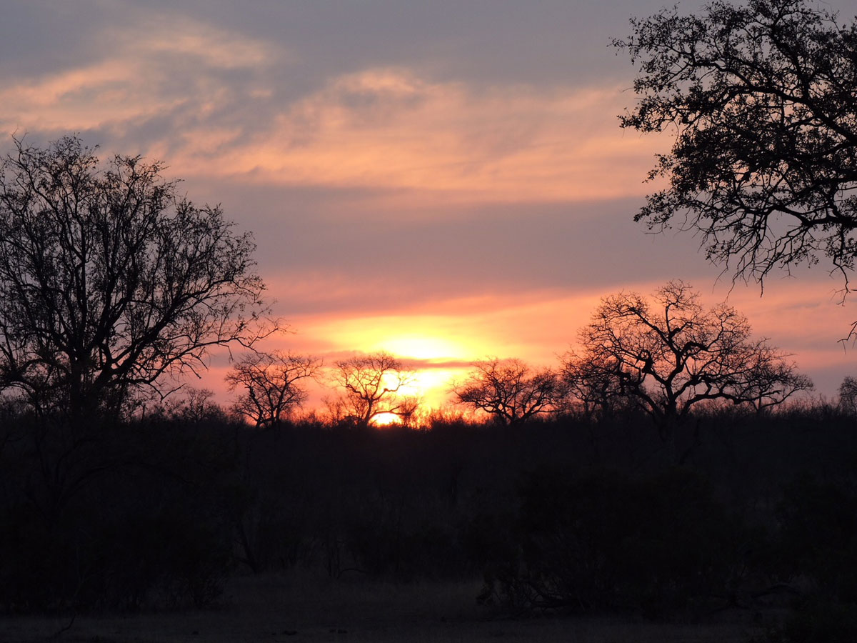Sunset in Kruger