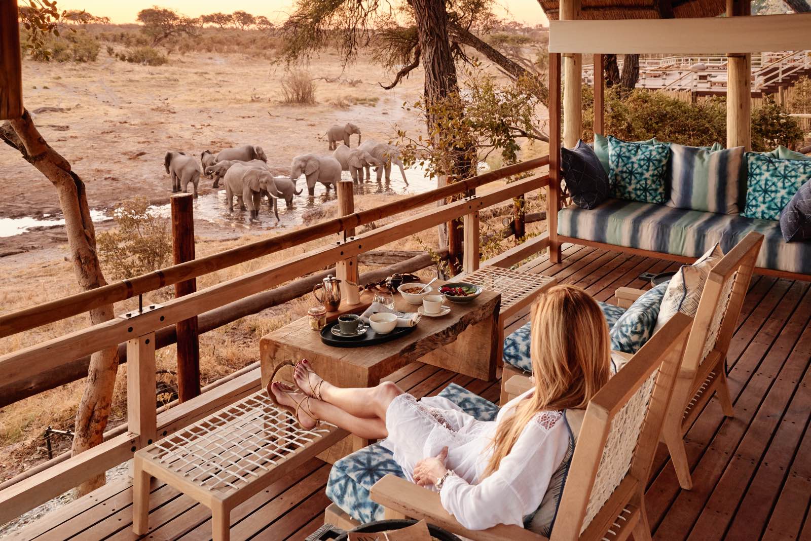 Elephants in front of the lodge while guest looks on at Savute Elephant Lodge