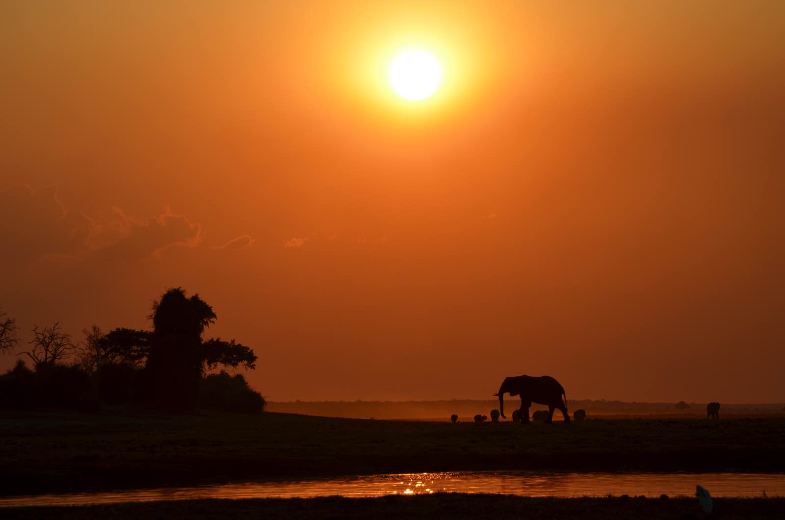 Scenes of a sunset at Chobe River at Chilwero