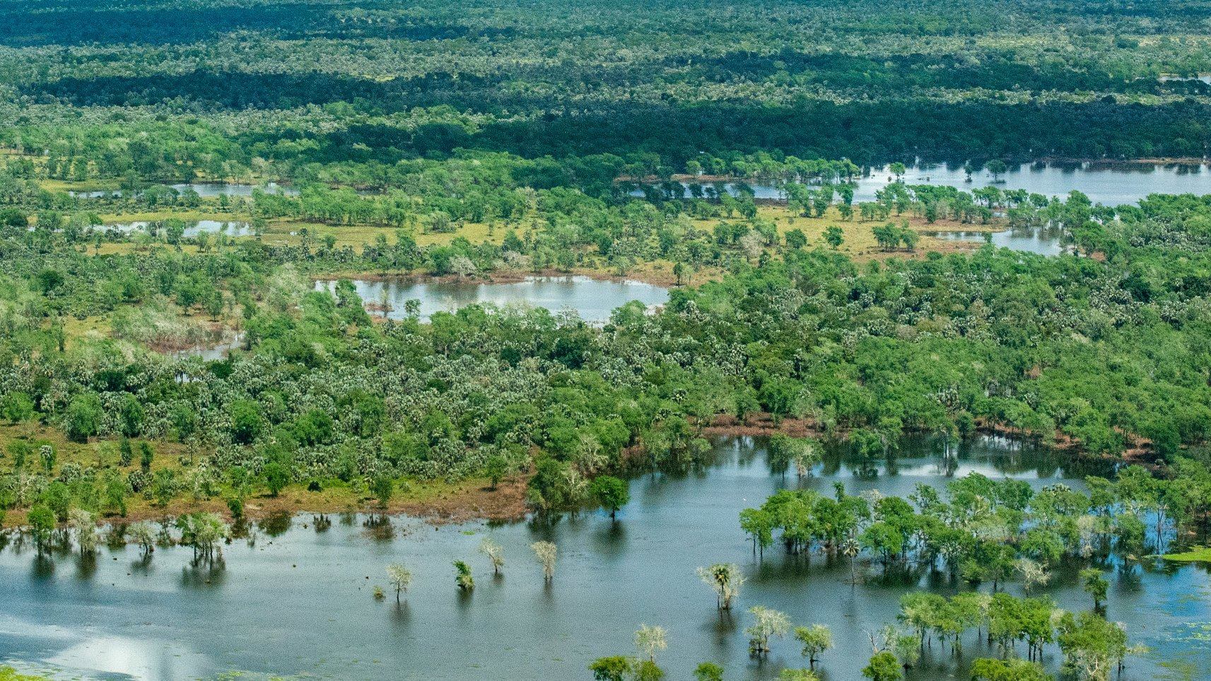 Gorongosa National Park aerial