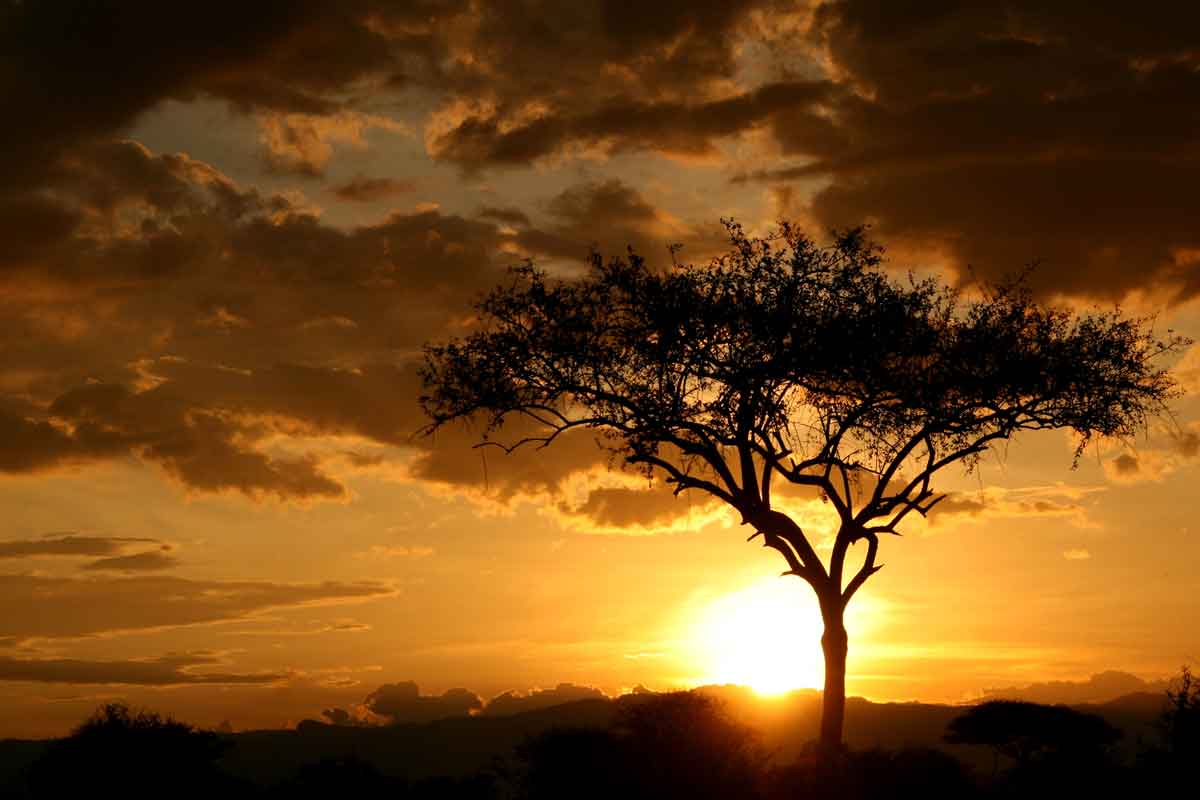 Kruger Sunsets in Africa