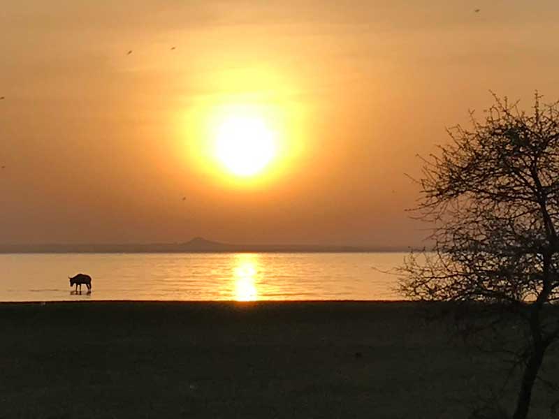 East Africa Sunset