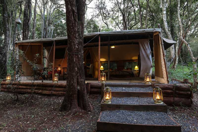 Nairobi Tented Camp in Forest