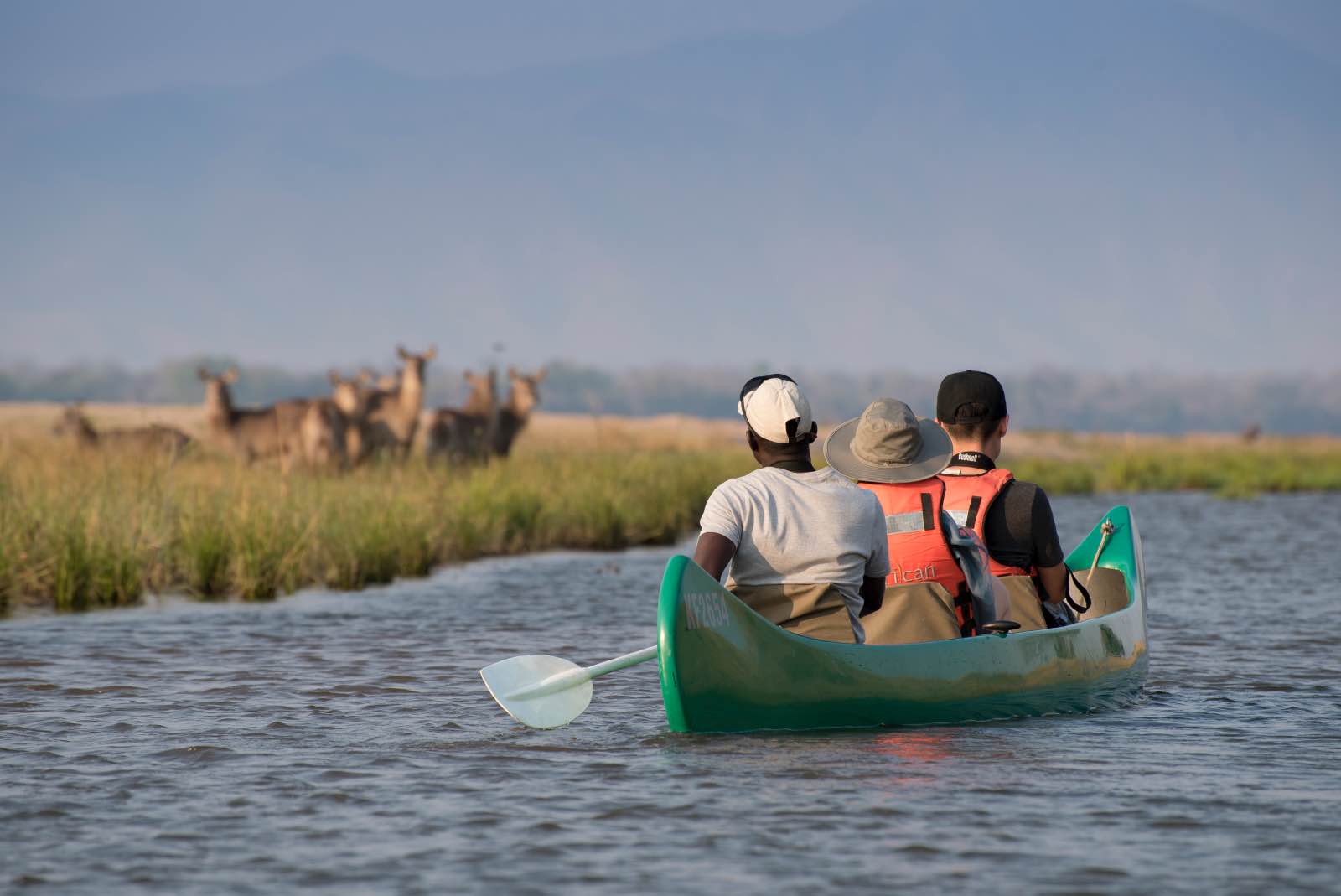 Nyamatusi canoeing with waterbuck