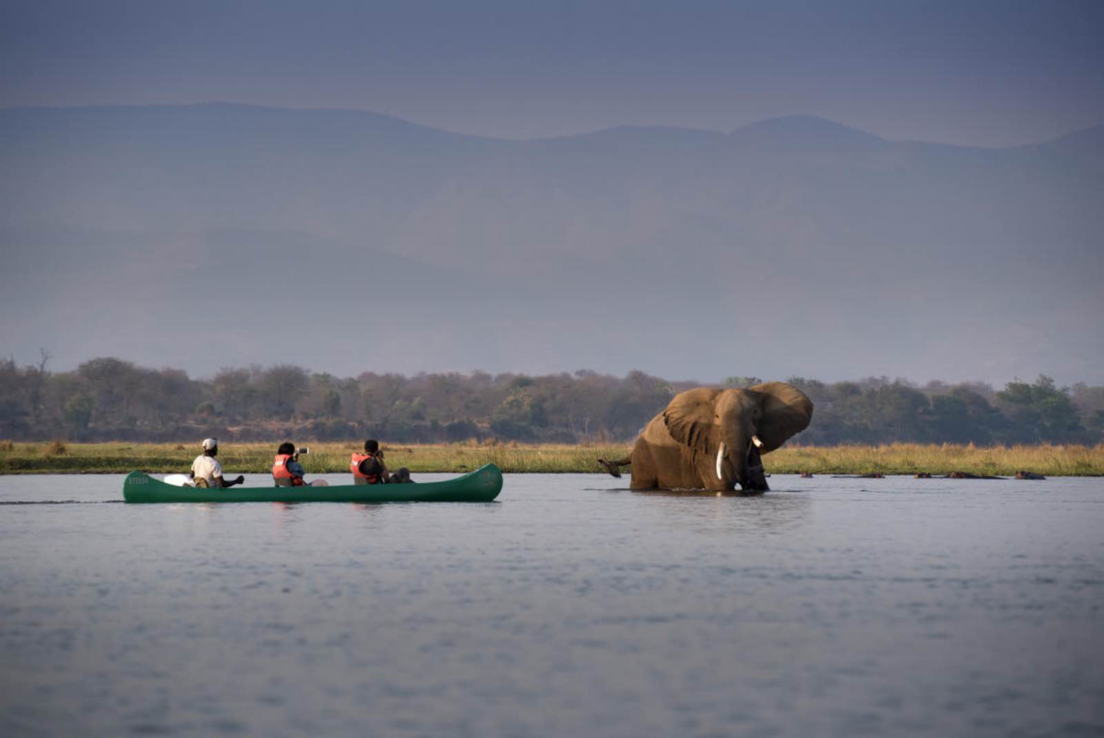 Nyamatusi elephants on a canoe