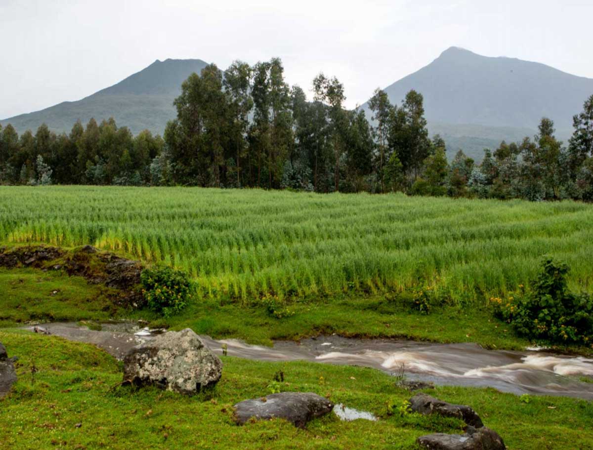 Rwanda Mountains Singita