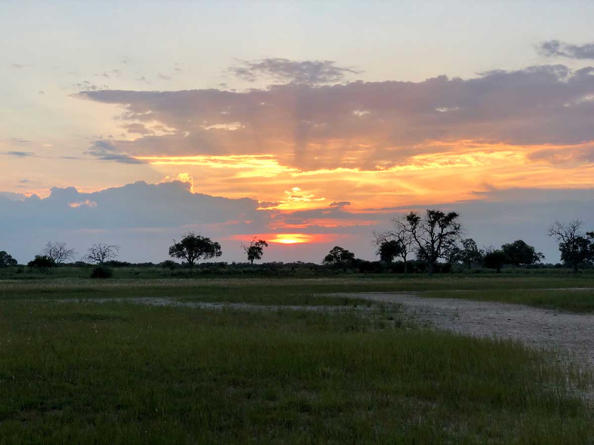 Botswana at Sunset