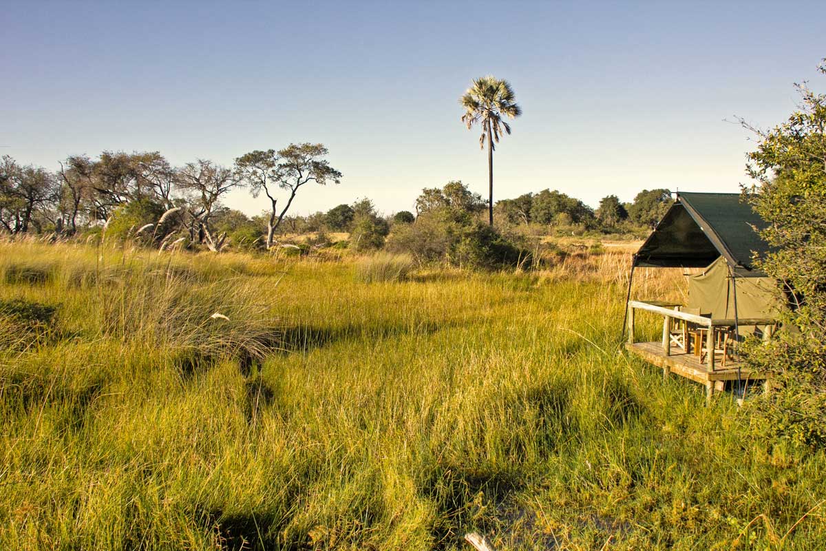 Oddballs in Okavango Delta