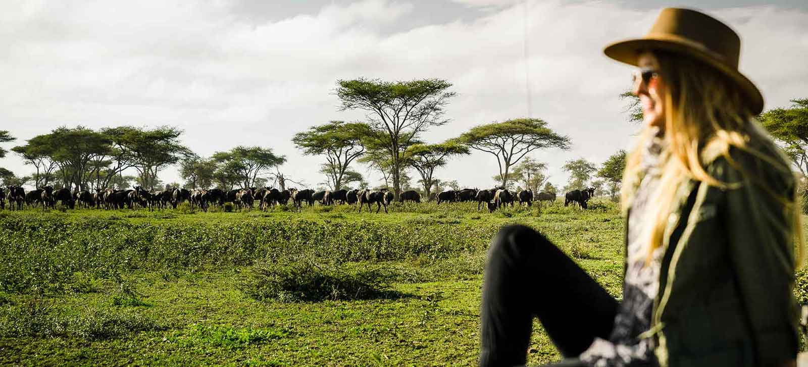 Kichakani Serengeti Camp Wilderness
