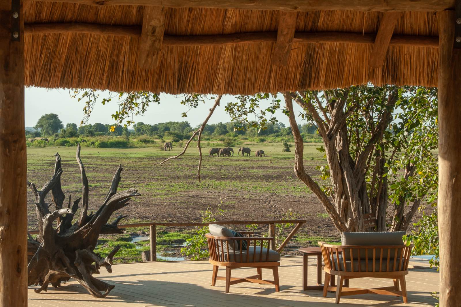 Watching elephants from the deck at Kafunta River Lodge