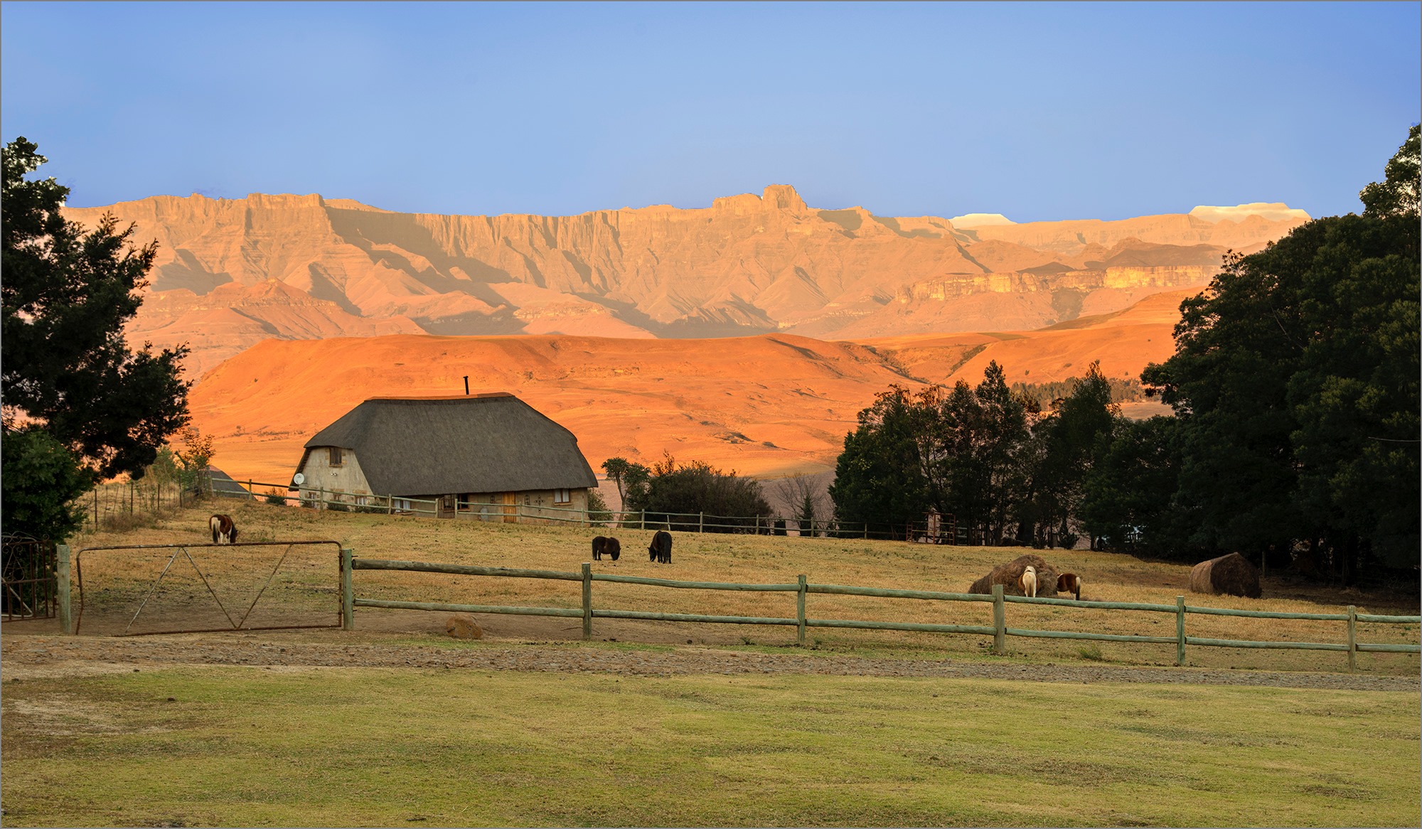 Berghouse and cottages incredible view of the Drakensberg Amphitheatre from the farm