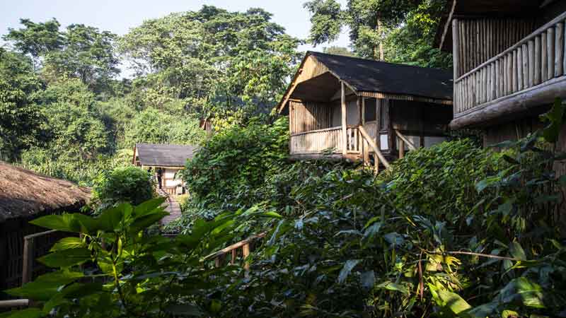 Buhoma Lodge in the Jungle