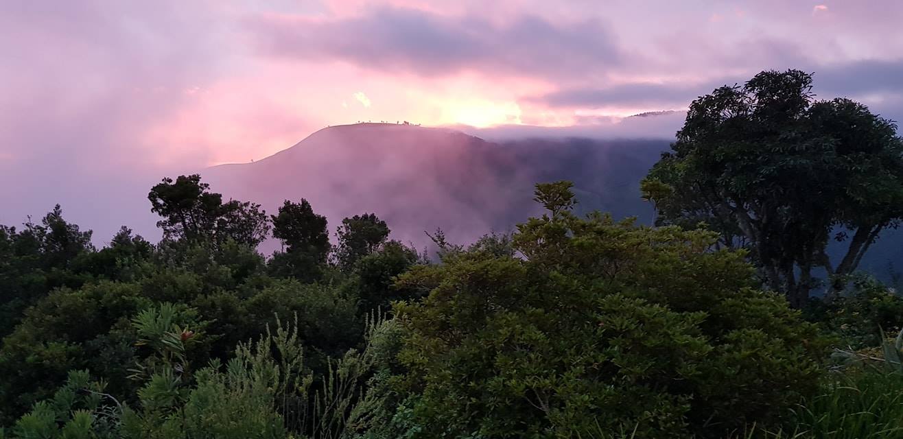 Misty mornings over Hogsback seen from The Edge