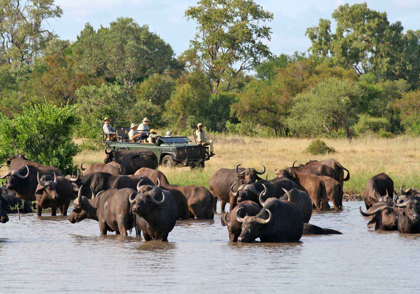 Game Viewing at Nottens Bush Camp