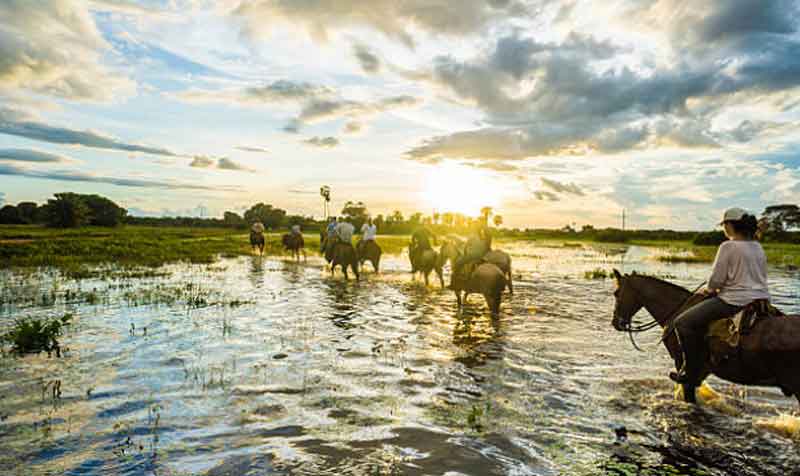 Horse Riding in the Pantanal