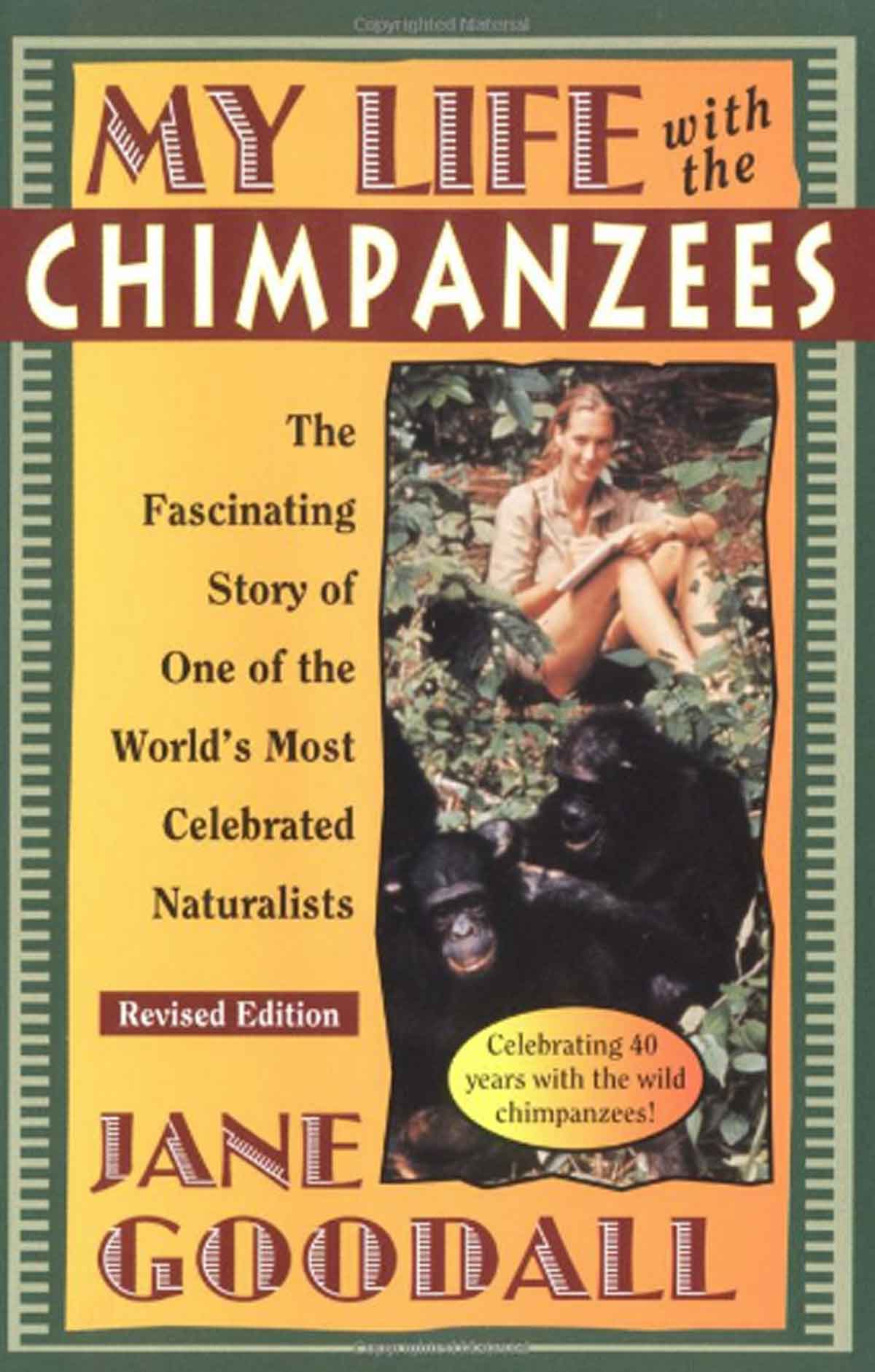 Jane Goodall Chimps