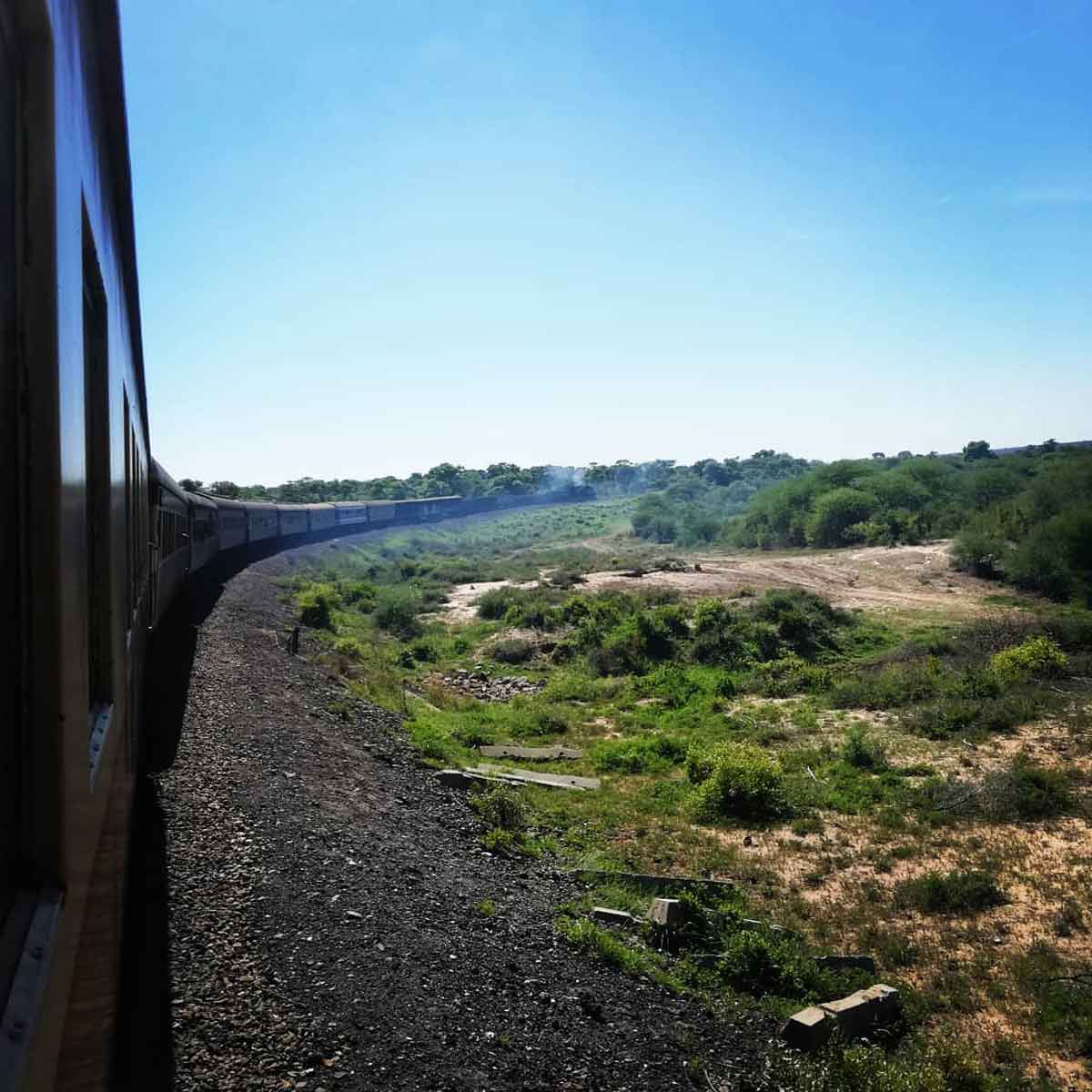 Safari Train in Zimbabwe