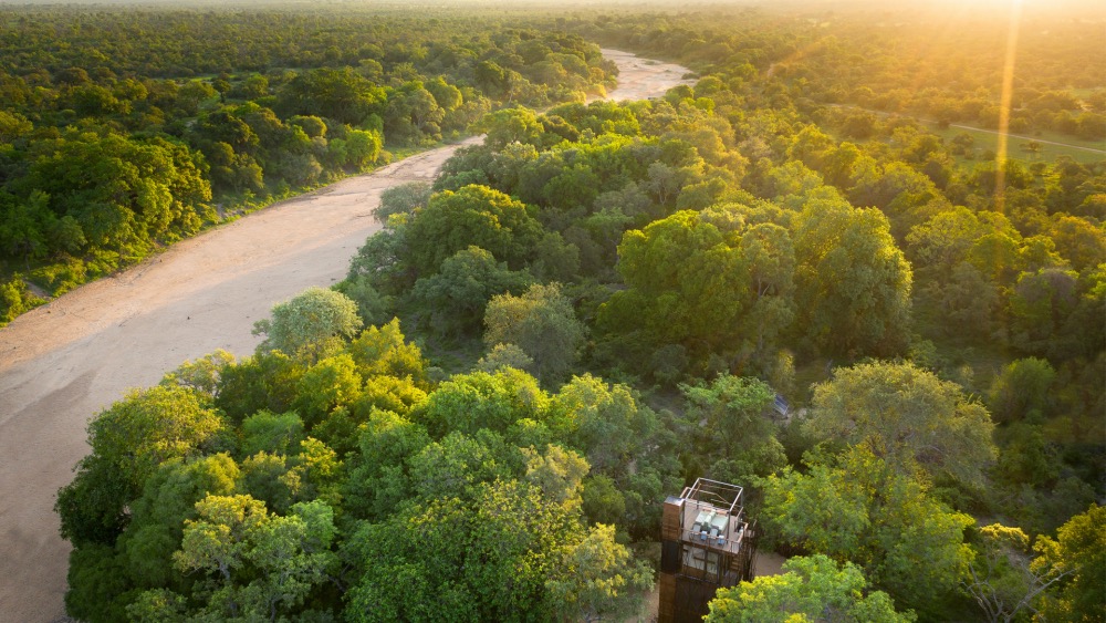 Aerial view of the Ngala treehouse between the trees and next to a riverbed