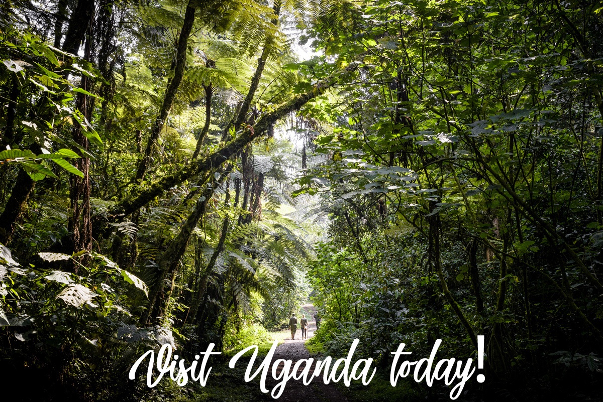 Visit Uganda Today