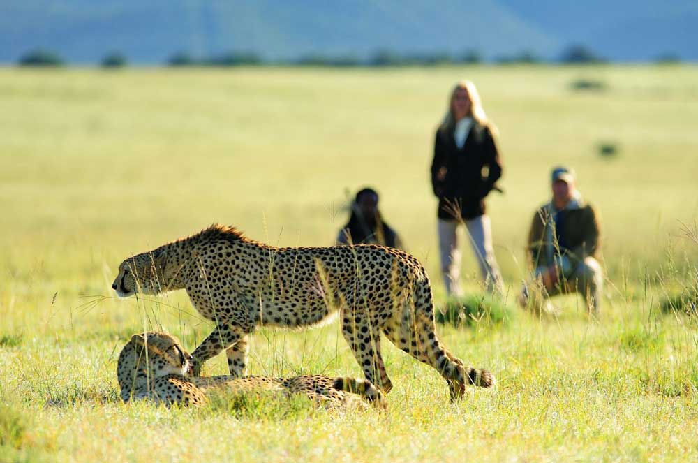 Sun Safaris-Walking Safaris in Africa