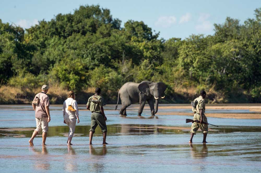 Sun Safaris-Walking Safaris in Africa (2)