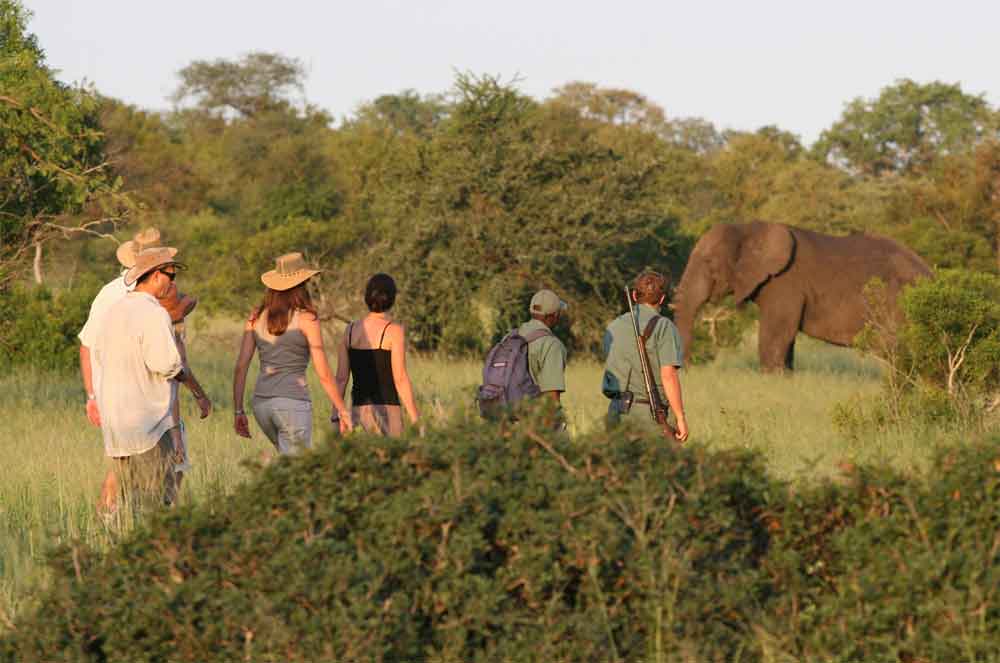 Sun Safaris-Walking Safaris in the Kruger National Park