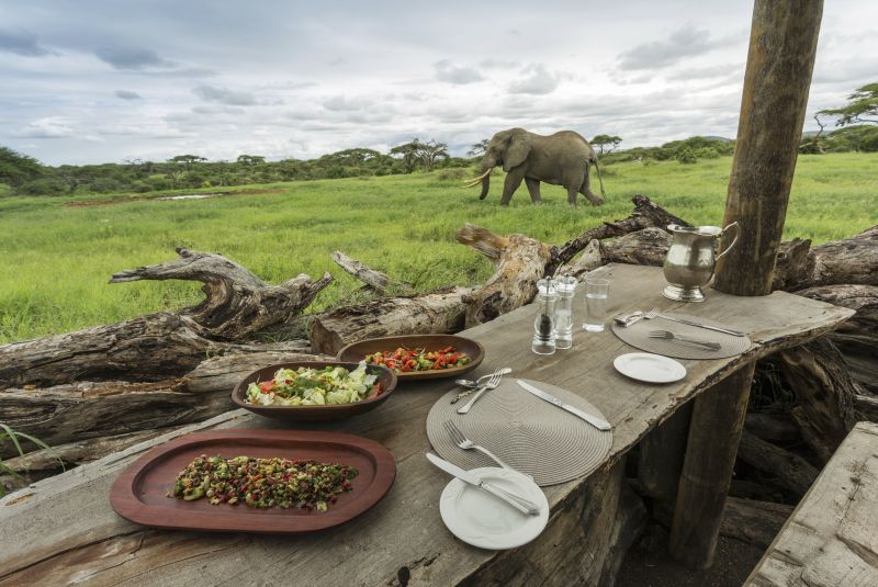 The Return of the Safari Pioneers Luxury Kenya Safari