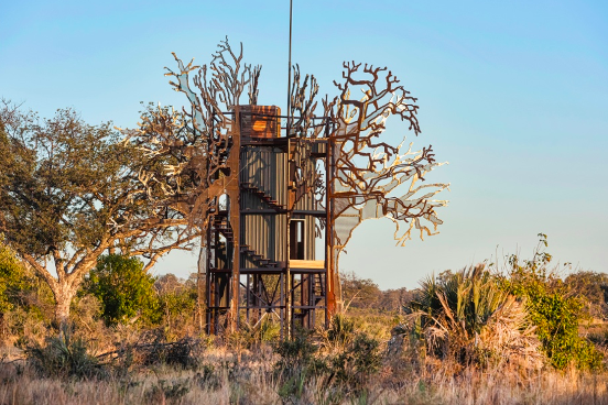 Baobab Treehouse in Okavango Delta